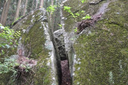 周囲には木々と緑の草木が生い茂りる森の中に、苔に覆われた大きな岩が裂けてできた細い通路がある、自然の力強さと静けさを感じさせる岩の裂け目の写真