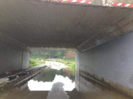 コンクリート製のトンネル下の道路が大きく冠水しており、奥に向かって道が続いている写真