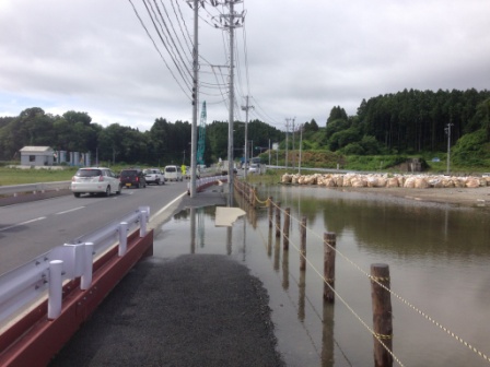 道路の片側の歩道が水に浸かり、車道では車が走っている様子が見える写真