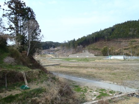 木々に囲まれた山あいの土地に整地された道や空き地が広がり、まだ建物が建っていない復興途中の地域の様子を写した写真
