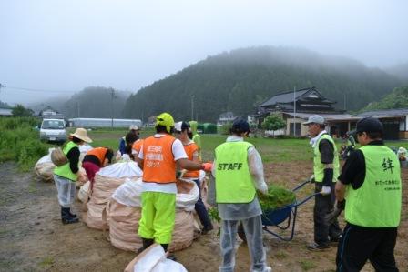 霧が立ちこめた山間部の畑で、「スタッフ」や「絆」と書かれたビブスを着た人々が協力して土嚢袋のような袋に草を詰めたり、一輪車で運んだりしている様子の写真