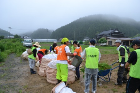 集めた雑草などを大きな布袋に入れる作業が進められており、一輪車で集めた草を回収用の袋にまとめているボランティアたちの様子の写真