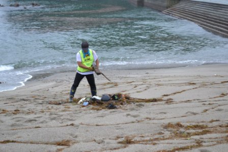 浜辺で一人の男性が、波打ち際近くで流木やゴミをかき集めている清掃活動の写真