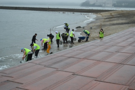 多くのボランティアが波打ち際で一列に並び、流木や海藻などの漂着物を手作業で回収している清掃活動の写真