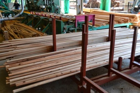 製材所の作業場にて、加工された細長い木材が赤い金属製のラックにきれいに並べられている様子の写真