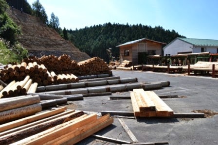 山のふもとの屋外作業場に、丸太や角材が無造作に並べられており、背景には森と作業小屋が見える木材置き場の写真
