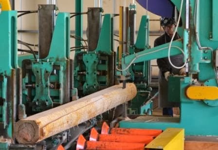 製材所の屋内で、緑色の大型機械に丸太がセットされ、作業員がヘルメットと防護具を身に着けて機械操作をしている丸太加工中の写真