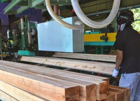 カットされた角材がベルトコンベアに並べられ、奥では防護マスクとヘルメットを着用した作業員が機械の前で作業している製材作業中の写真