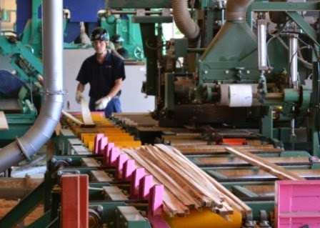 製材された細長い板が自動搬送ラインに整然と並べられ、作業員が品質を確認しながら仕分け作業をしている製材ラインの写真