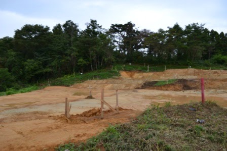 緑豊かな木々に囲まれた広々とした空き地が写っており、地面は一部に草が生え土がむき出しになっていて、木製の杭が地面に打たれている整地中の写真