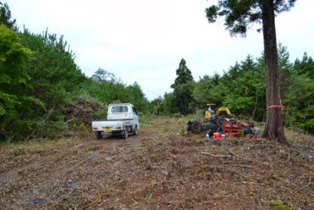 木々が生い茂る林の中で白い軽トラックが停められ黄色い重機が作業をしている写真