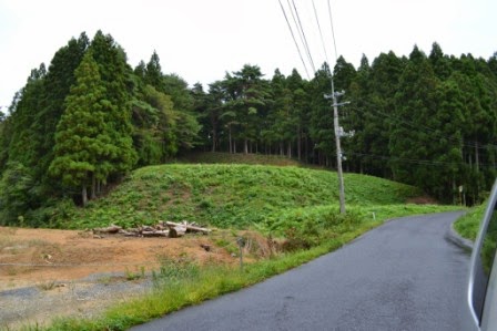 道路の左側に空き地あり、奥には木々が密集した緑豊かな森林が続いている写真