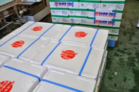 青いテープで封がされた白い発泡スチロール製の箱がいくつも積み重ねられており、後ろにもたくさんの箱が積まれている出荷準備中の水産品の写真