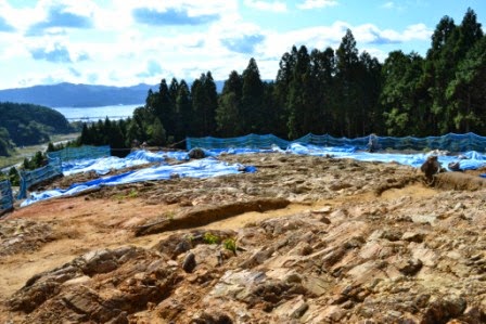 岩盤の地面に青いビニールシートが多数敷かれ、奥には黒い杉林と海が見える高台の発掘現場の風景写真