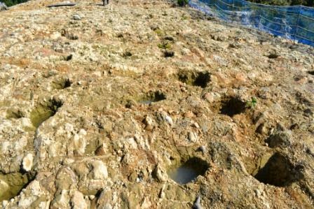 岩盤の表面に等間隔で多数の四角く掘られた穴があり、周囲が青いネットで囲まれている柱穴跡の発掘現場の写真