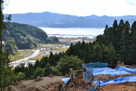 伐採された造成予定地の一部に青いネットが設置され、ビニールシートが被せてあり、その下には林と海に面した山間の町が見える写真