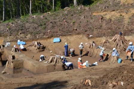 切り株が残る山の斜面を掘り下げた場所で、ヘルメットをかぶった多くの作業員が手作業で遺構を掘り出している発掘調査の作業中の写真