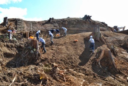 伐採後の急な土の斜面を複数の作業員が登って調査しており、地中の遺構を探しながら慎重に掘削している発掘現場の写真
