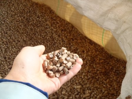 片手で木材を粉砕して成形した円筒状の木質ペレットをすくい上げ、その下には大量のペレットが袋の中に入っている様子が写っている木質燃料の写真