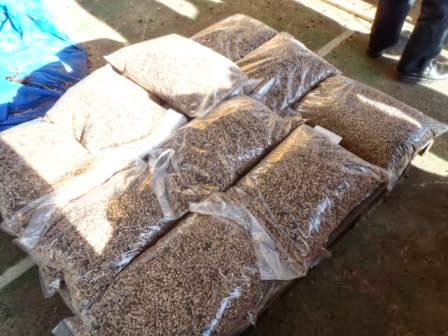 透明な袋に詰められた木質ペレットが複数並べて置かれている写真