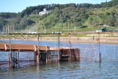 網と鉄パイプで作られた構造物が川の中に組まれ、一部に木製の足場が設けられている捕獲施設の詳細部分の写真