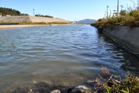 流れがまっすぐに続いている川の水面を写した写真