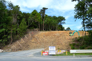 後ろに木々が見える山の斜面の土がむき出しになり、重機が土をならしている工事現場の写真