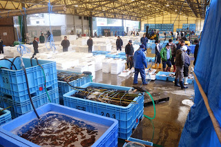 市場の屋内では多数の人々が白い発泡スチロールの箱や青い水槽の周囲に集まっている初セリ会場の様子の写真
