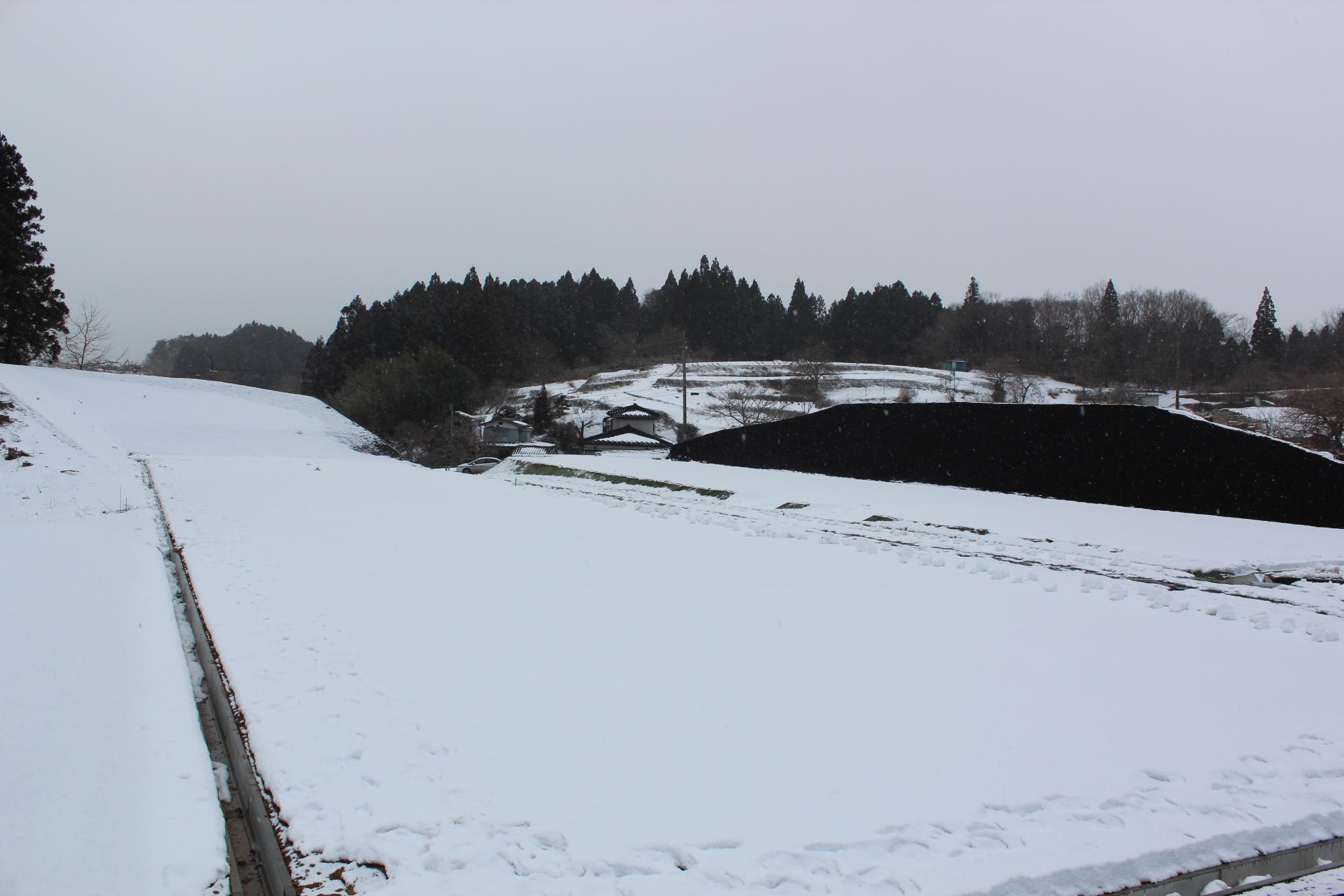 雪に覆われた広い造成地から、遠くの家々や森が見える冬の風景の写真