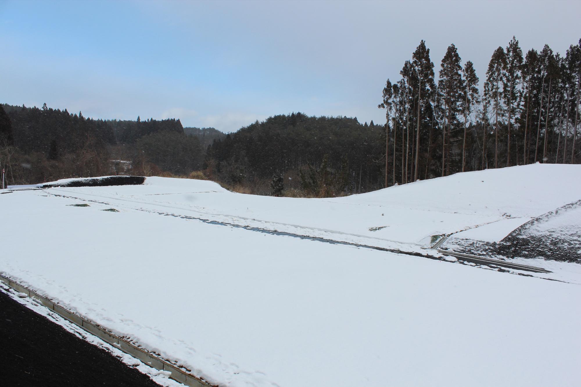 一面が雪に覆われ、道と周囲の森が見える静かな冬の造成地の写真