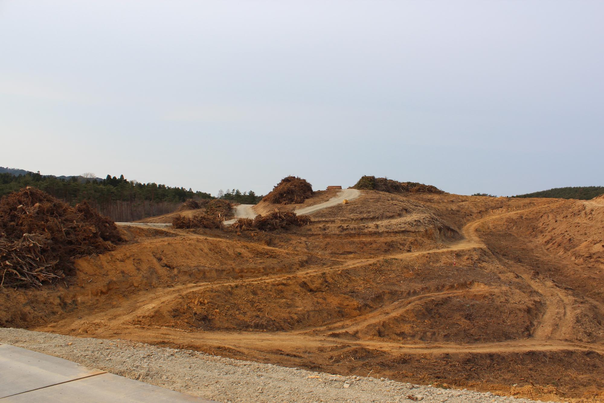 伐採後の起伏ある造成地に作業道がうねるように続き、周囲に木の根の山が積まれている写真