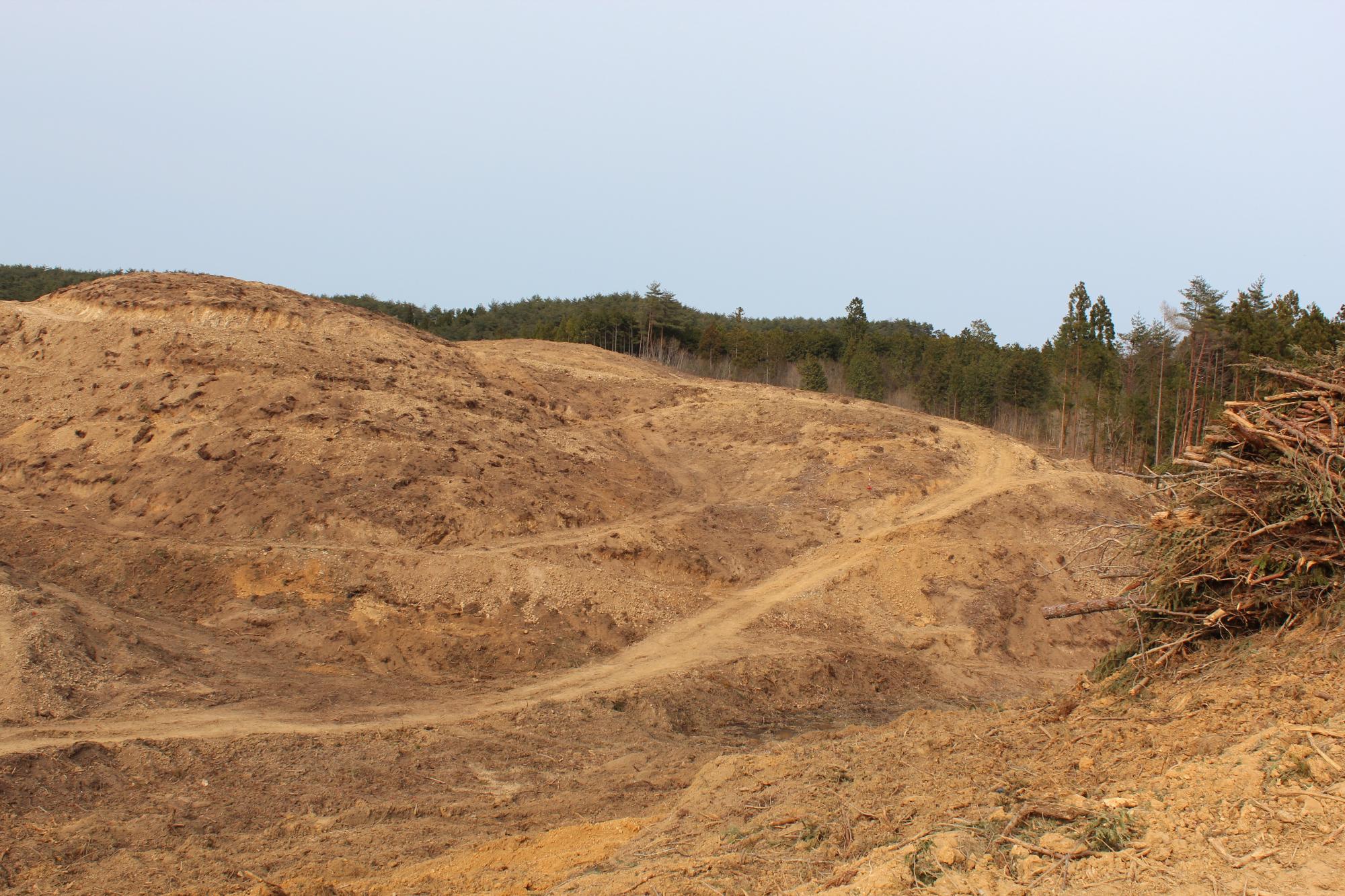 木がすべて伐られて茶色い土が広がり、所々に木の根や切り株が残る造成直後の斜面の写真