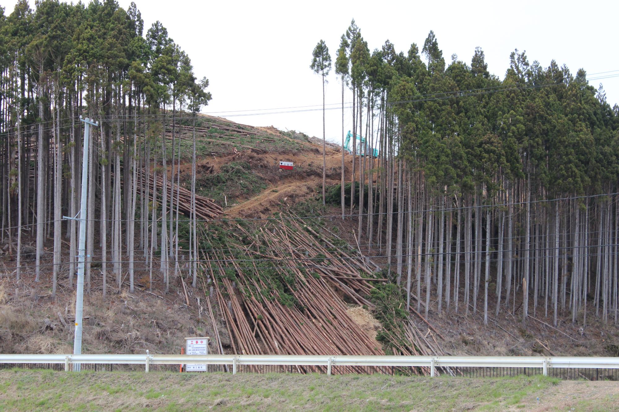 山の斜面で多くの杉の木が伐採され地面に倒れており、奥で重機が作業している山林伐採中の写真