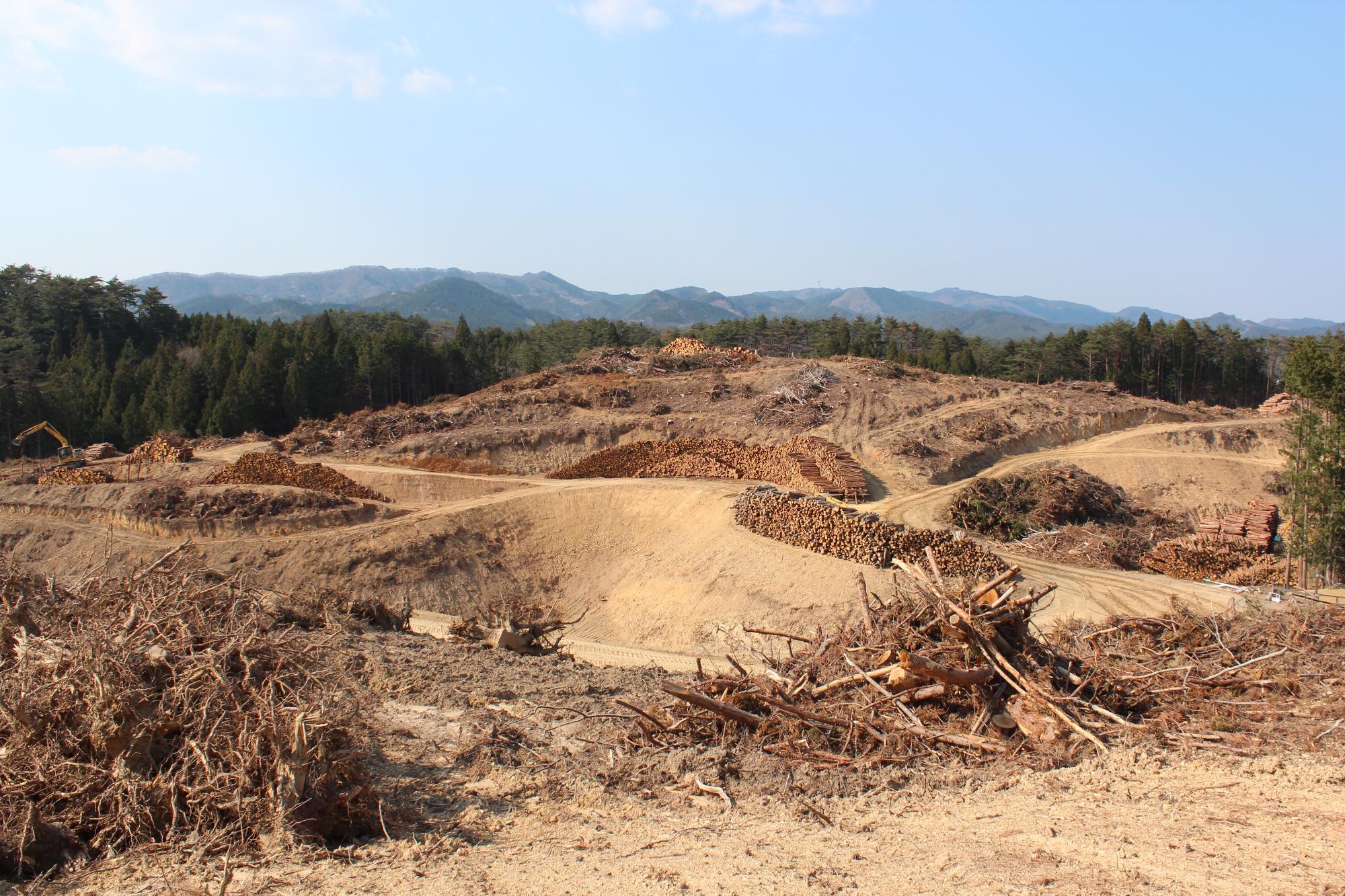 木々が伐採され起伏のある地面に丸太や、木の枝、根っこなどがあちこちに置かれている造成地の写真