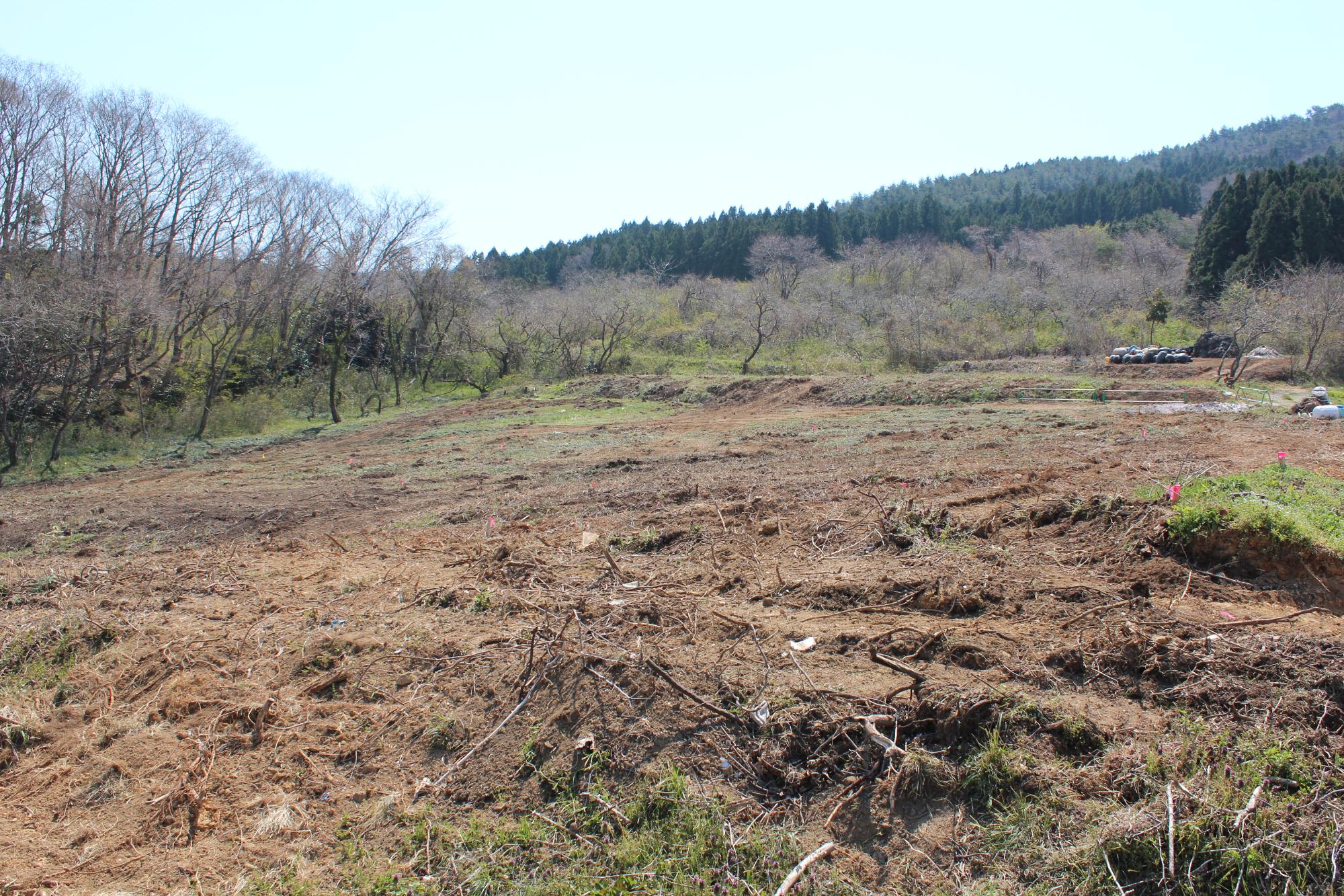 伐採されて地面がむき出しになった土の斜面の奥に、葉の少ない落葉樹と深い緑の針葉樹が混ざった山林が広がり、右奥には作業車両や資材が見える写真。