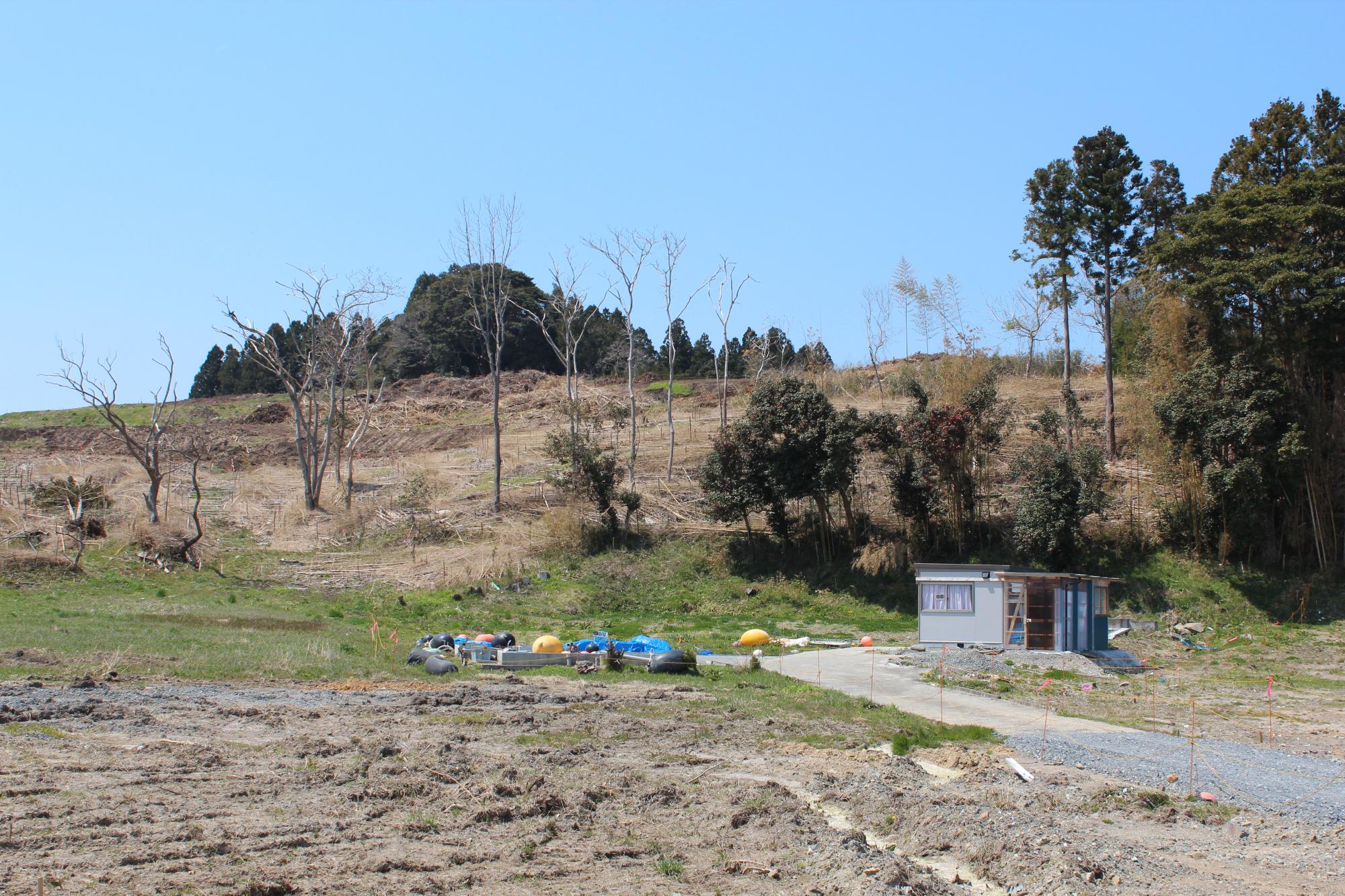 木々がまばらに立つ斜面のふもとに小さなプレハブ小屋があり、周囲は草地と雑木林で、一部は伐採され、地面には作業資材などが置かれた整備前の土地を写した写真