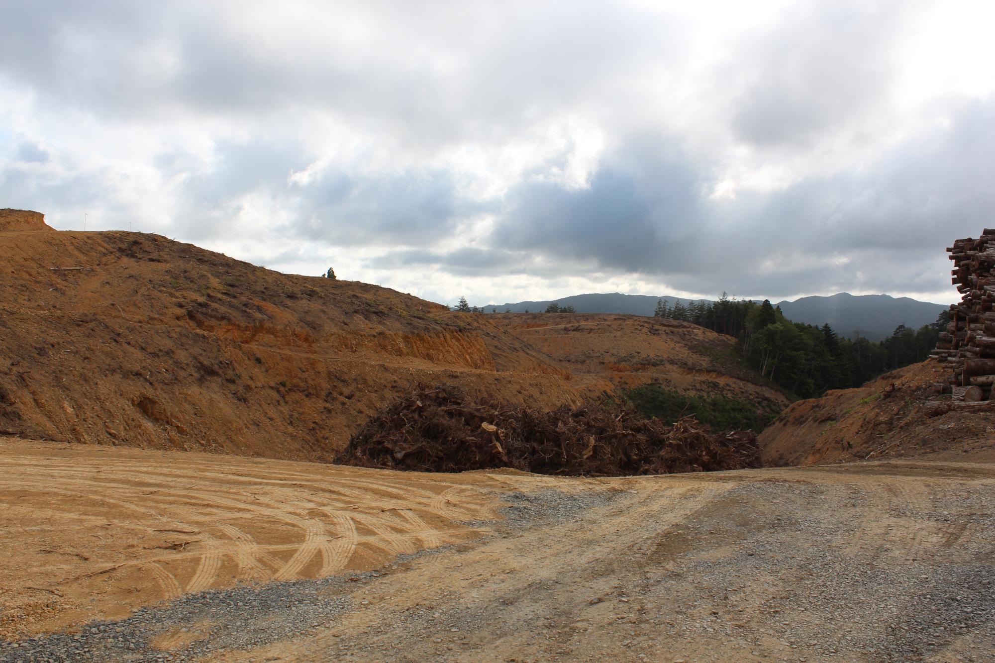 伐採された山の中腹に茶色い土がむき出しになった造成地が広がり、中央には大量の木の根や枝が積まれており、右端には丸太の山が積まれている様子が写された写