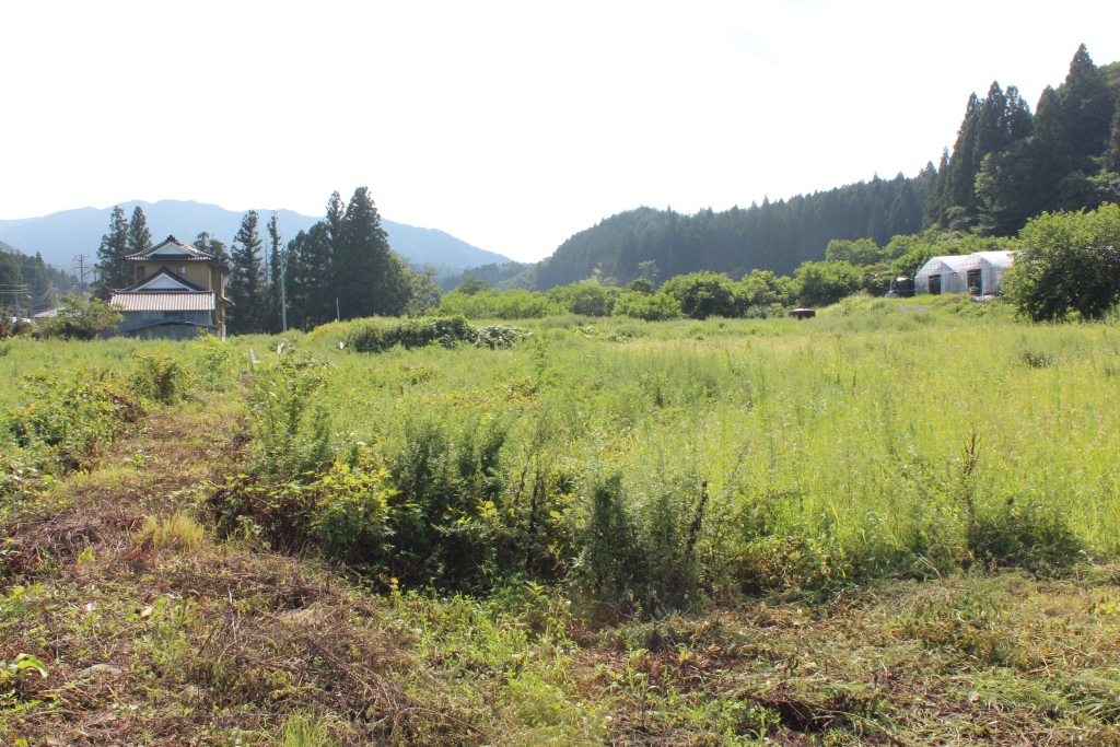 緑が生い茂る広い原っぱとその奥に山々が広がり、左奥には瓦屋根の日本家屋、右奥には白いビニールハウスのような建物、周囲が森林に囲まれた風景写真
