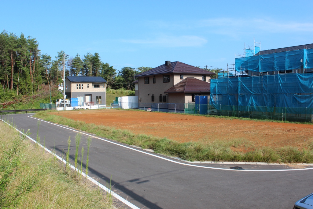 新しい舗装道路に沿って草が茂る区画の奥には、完成した住宅が2棟建ち、その隣では青いシートに覆われた住宅が建設中で、背景には高い木々が立ち並ぶ森が広がっている写真