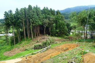 高い樹木の手前が切り落とされている工事の様子を写した写真