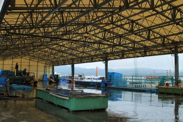 上部に屋根があり、コンテナや水槽がある仮設市場内の写真