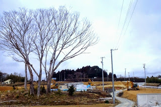 晩秋から冬にかけて葉を落とした大きな木の下で重機が稼働し、造成工事が進んでいる様子を捉えた冬の造成地の写真
