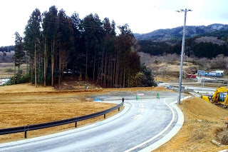 伐採された樹木の前に舗装された道路を工事している途中を写した写真