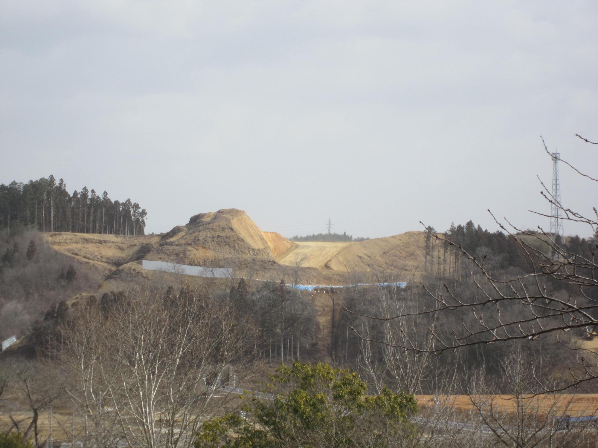 遠くに造成工事が進められた斜面があり、その両側には残された森林が写っている写真