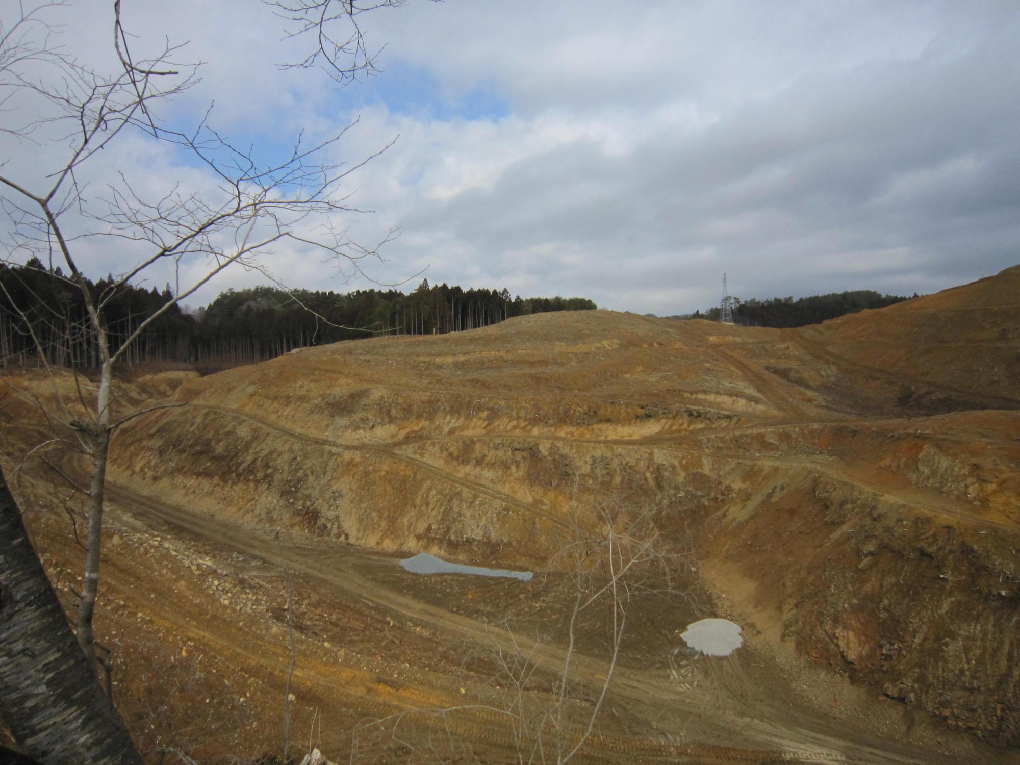 広く整地された土の造成地に重機の跡が見られ、背後には森林と空が広がる様子を写した写真