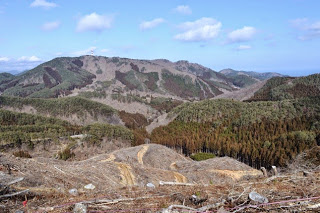 木々の伐採跡や山道、遠くに連なる山々が広がっている、山の中腹から見た風景の写真