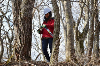 白いヘルメットをかぶった女性が手のこを持ち、木々の間を歩いている写真