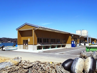 茶色い細長い平屋の建物が港に面して建っており、手前には漁業用のブイや網が積まれているカキの作業場の写真