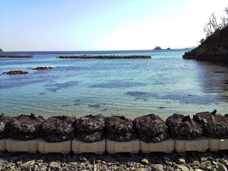 海岸の手前に、大きな黒い土嚢袋がずらりと並び、土嚢の向こうには波が静かに打ち寄せる入り江が広がる写真