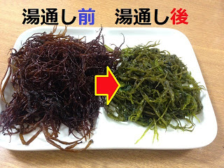 左側が赤茶色の湯通し前で右側が緑色になった湯通し後のふのりがトレーにいれられ、湯通し前、湯通し後の文字と矢印で違いを示している写真